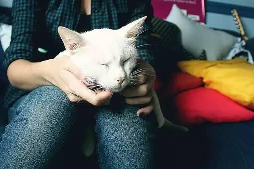 晚安美图161023：生活不是战场，无需一较高下