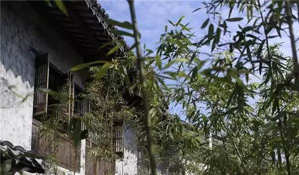 早安美图160202：农村风景独好，你敢说你不想去？