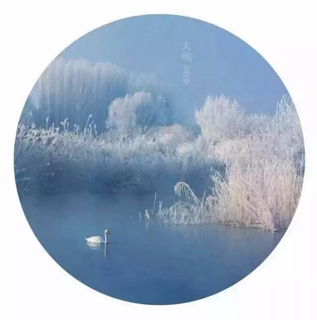 晚安美图161129：原谅是一种溶剂，一种润滑油