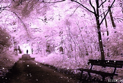 关于小雪节气的祝福图片吉祥语