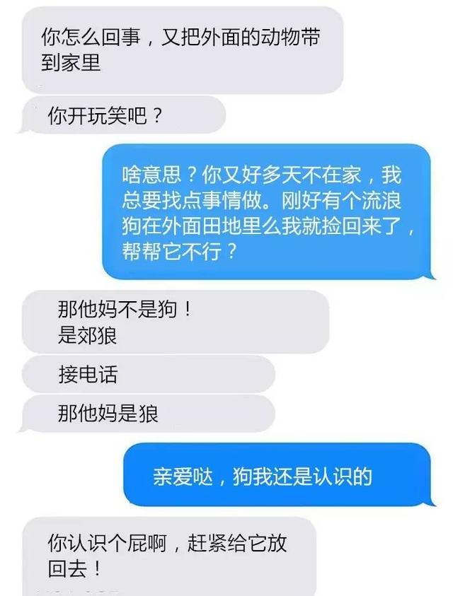 老婆把狼带回家，丈夫情绪很激动