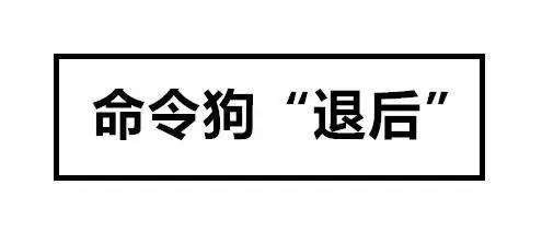 小王有技能：狗想咬你怎么办呢？