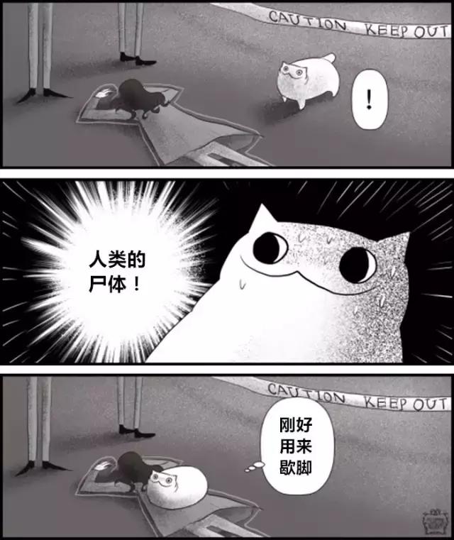 惊悚漫画：家里有喵星人，你的生活顿时大不同