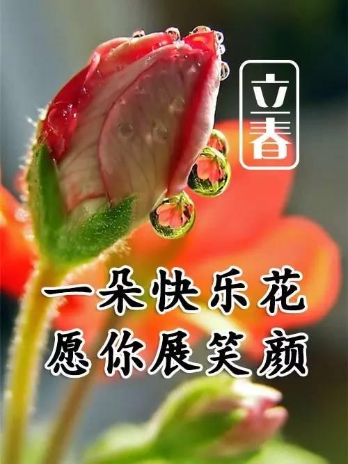 立春带文字的图片祝福