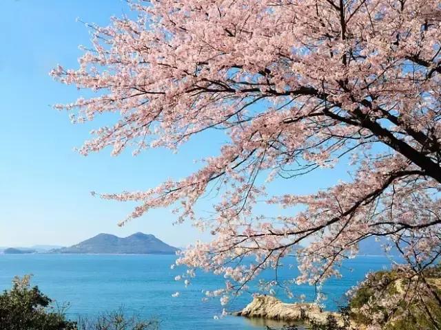 晚安美图170209：有的人，你真的不必在意