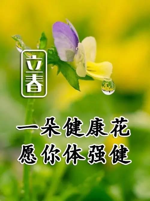 立春带文字的图片祝福