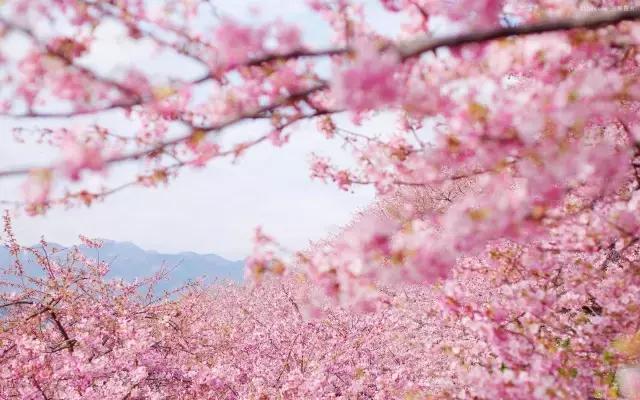 晚安美图170209：有的人，你真的不必在意