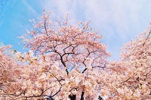 晚安美图170209：有的人，你真的不必在意