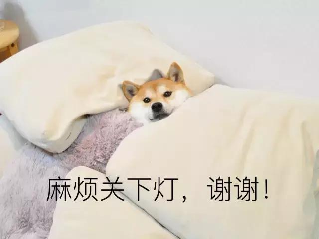 快上车，在情人节给单身狗的正能量