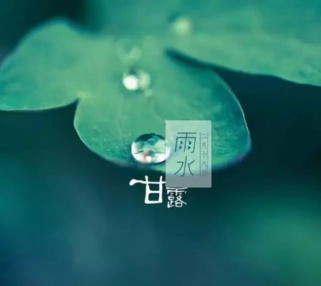 雨水节气的精美图片祝福文字