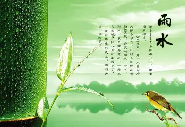 雨水节气的精美图片祝福文字