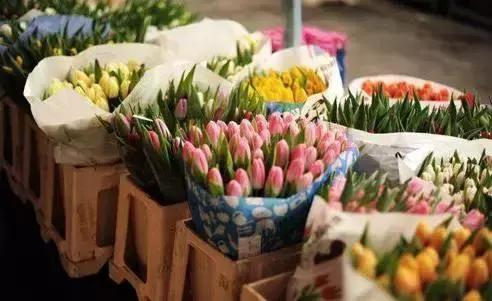 晚安美图170315：这，就是现实
