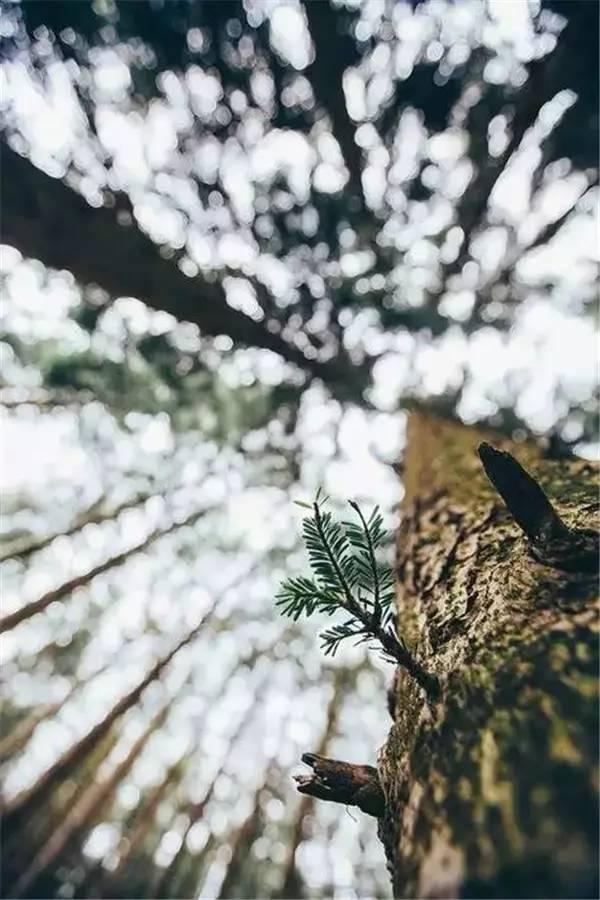 晚安美图170321：所有遇见，都是一场命中注定