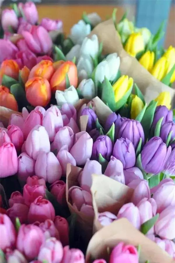 晚安美图170321：所有遇见，都是一场命中注定