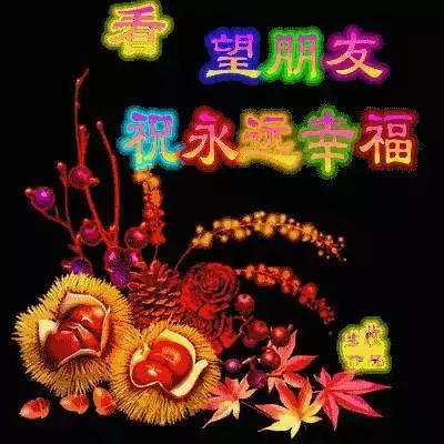 朋友节送给好朋友的精美祝福语