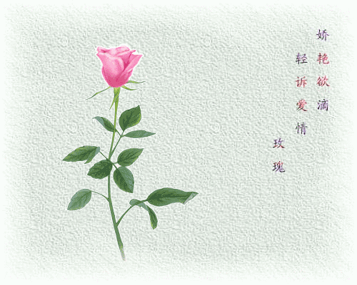 早安美图170330：人生二十别