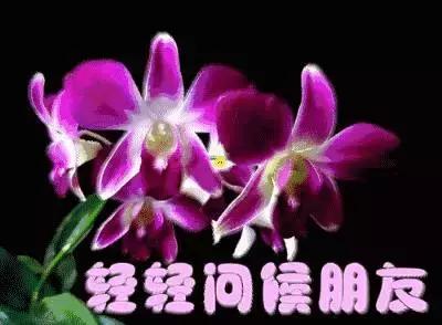 朋友节送给好朋友的精美祝福语