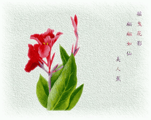 早安美图170330：人生二十别