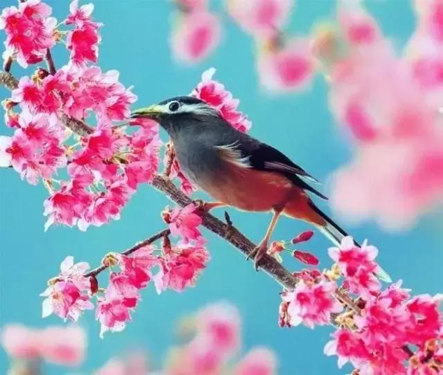 晚安美图170331：一天一年一辈子