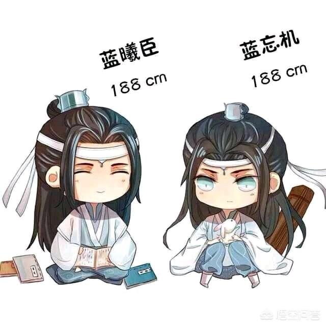 在魔道祖师中姑苏蓝氏到底是什么样的存在