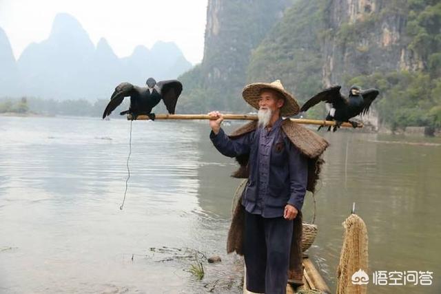 一直很好奇，捕鱼时渔网撒出去，下面不是空的吗？为什么鱼不跑出去？