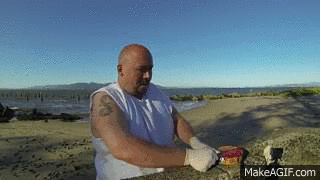 320_180gif 动态图 动图