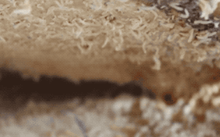 315_197gif 动态图 动图