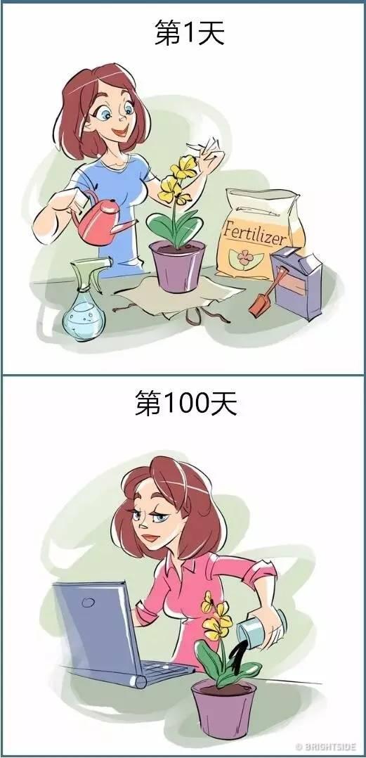 第1天和第100天，扎心了！