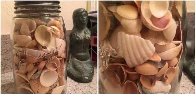 我的爱人是个白痴