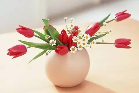 晚安句子1704119：送给心眼太好的你