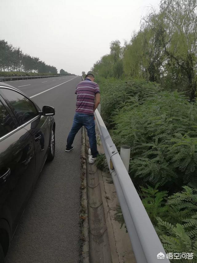 高速路上憋急了能不能路边停车尿