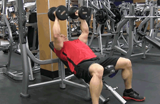 如何正确锻炼腹肌胸肌