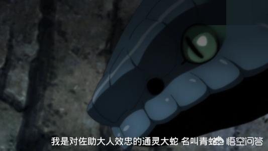 火影忍者青蛇和万蛇有什么关系么