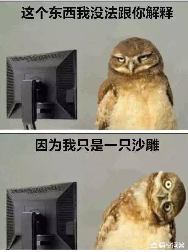 有什么沙雕搞笑的表情包