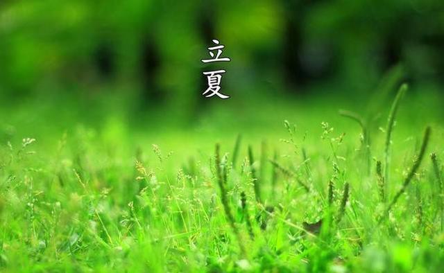 立夏节气的精美图文祝福句
