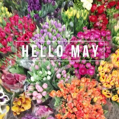 早安文字170508：May I love you