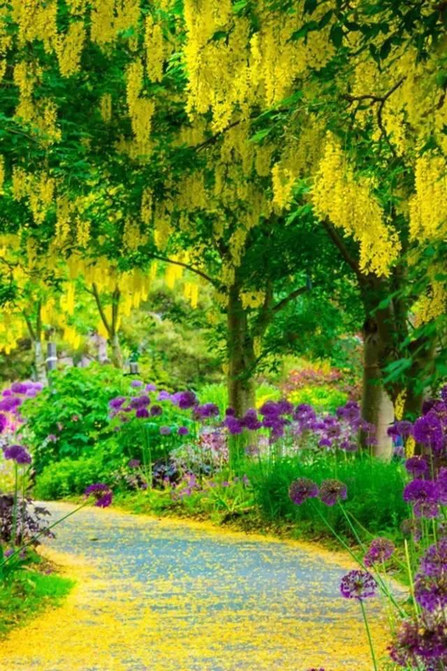 早安美图170507：心依暖阳，静候花开