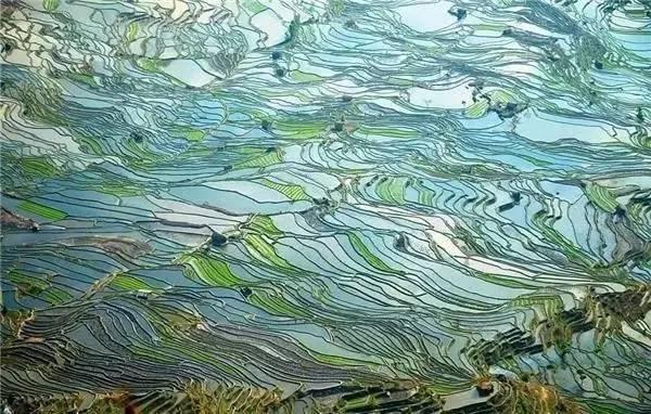 早安句子170521：千金难买的15句话，看一遍顿悟