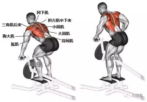 练背肌的动作在家就能锻炼腹肌和背肌的方法