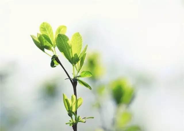 高考祝福：千淘万漉虽辛苦，吹尽狂沙始到金