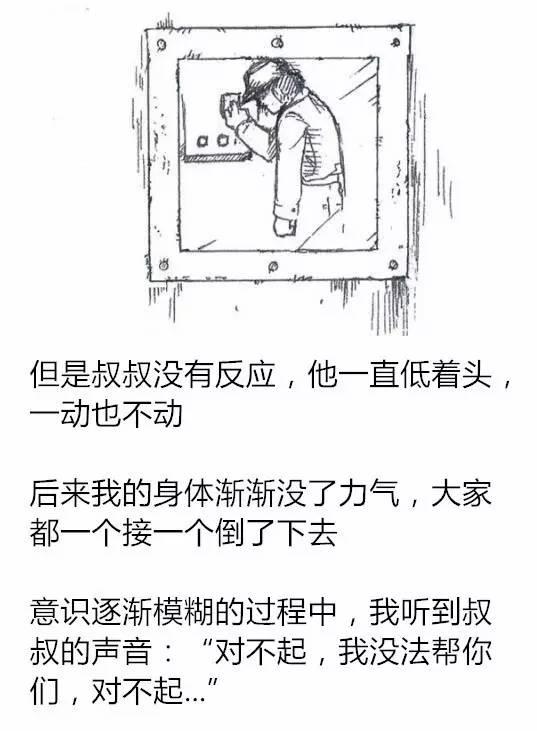 《狗狗的心声》一只狗在收容所的故事，泪流满面