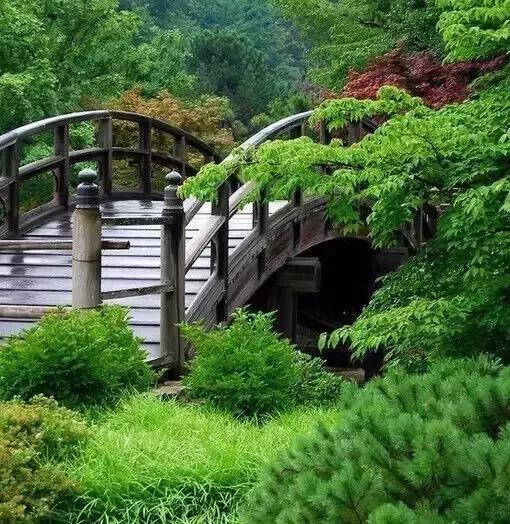晚安美图170619：交一个什么样的朋友，真的很重要
