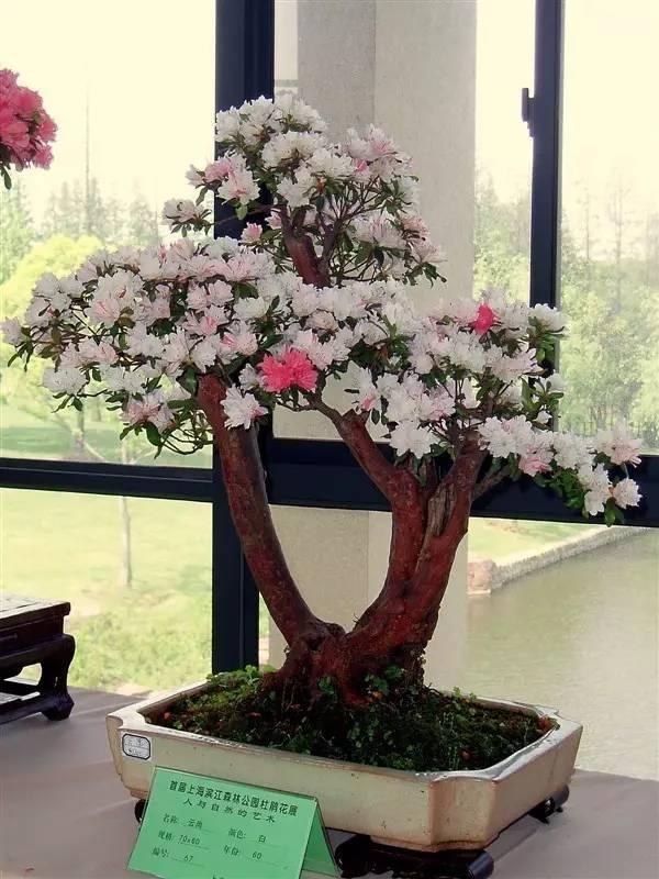 晚安文字170625：人心，都是相互的
