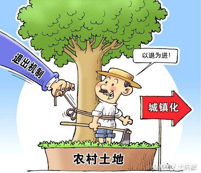 新土地管理法对被征收土地的农民有什么好处