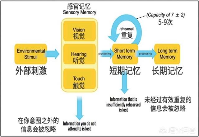 现在的科技能不能把人的大脑记忆消除