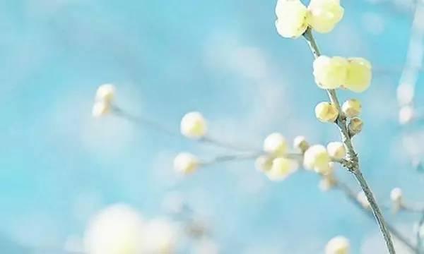 晚安美图170629：情深多珍惜，情浅别执迷