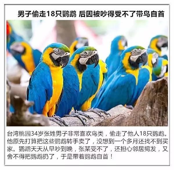 这14个当小偷真是屈才了，何不去当网红