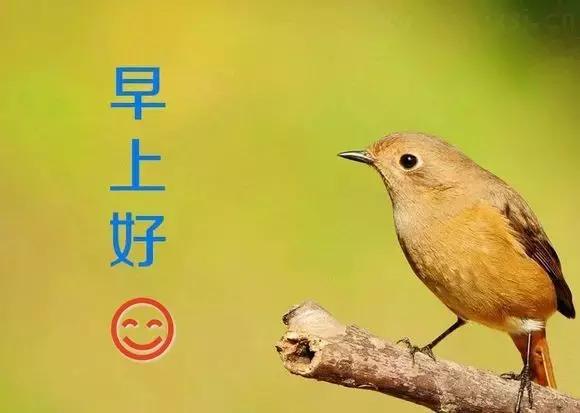 周一早上好，太美祝你快乐