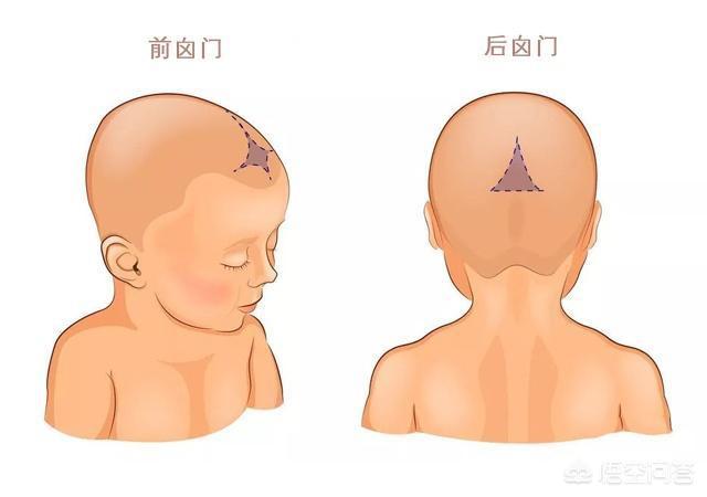 宝宝前囟门什么时候闭合2岁没闭合正常吗