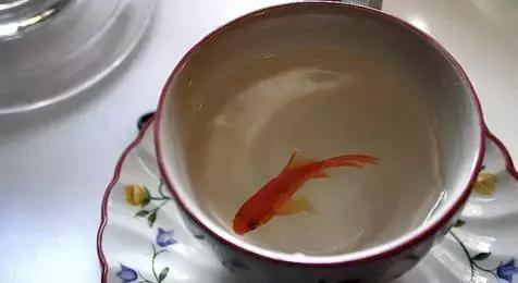 晚安文字170727：良心是一个人的做人底线